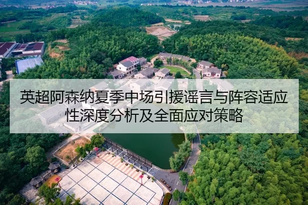 英超阿森纳夏季中场引援谣言与阵容适应性深度分析及全面应对策略