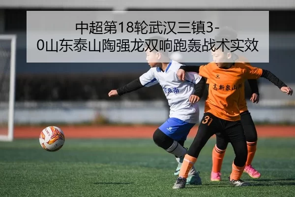 zhong-chao-di-lun-wu-han-san-zhen-shan-dong-tai-shan-tao-qiang-long-shuang-xiang-pao-hong-zhan-shu-shi-xiao-2-655.jpg